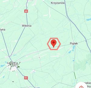 Mapa terenu powiatu łęczyckiego z uwzględnieniem na czerwono miejsc blokowania, protestów.
