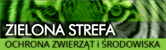 Zielona strefa