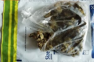 zabezpieczona marihuana w torebce foliowej.