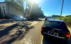 Policjant na drodze kontroluje samochód.