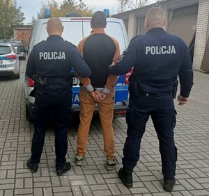Dwóch policjantów stoi tyłem z zatrzymanym przed radiowozem.