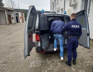 Policjant zatrzymanego wprowadza do radiowozu.