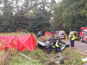 POLICJANCI PODCZAS OGLĘDZIN MIEJSCA WYPADKU DROGOWEGO. W TLE INNE SŁUŻBY RATUNKOWE.
