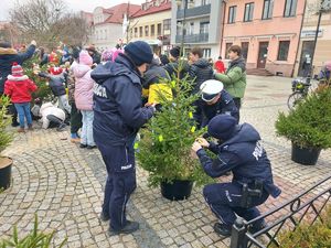 Policjanci zdobią choinkę odblaskami.