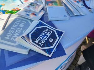 Piknik mundurowy na placu Kościuszki w Łęczycy. Stoiska promocyjne służb wraz z odwiedzającymi.