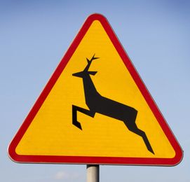 ZNAK OSTRZEGAWCZY UWAGA DZIKIE ZWIERZĘTA.