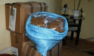 Susz tytoniu w workach i pudłach.