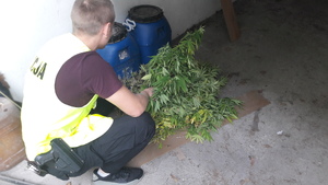 Policjant z zabezpieczonymi narkotykami.